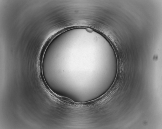 X0000098171072200805080955