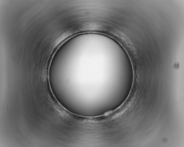 X0000098171073200805080955