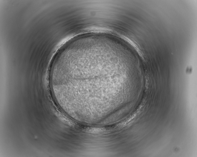 X0000098171074200805080955