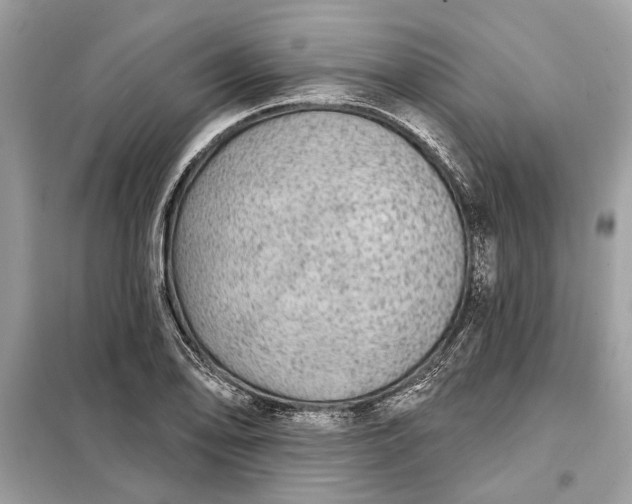 X0000098171078200805080955