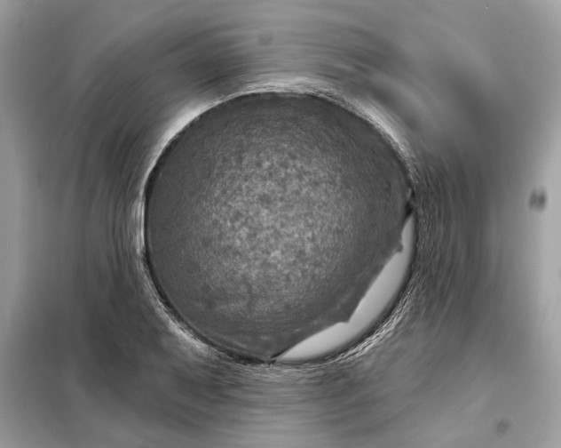 X0000098171079200805080955