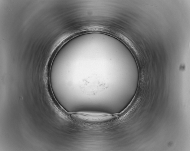 X0000098171082200805080955