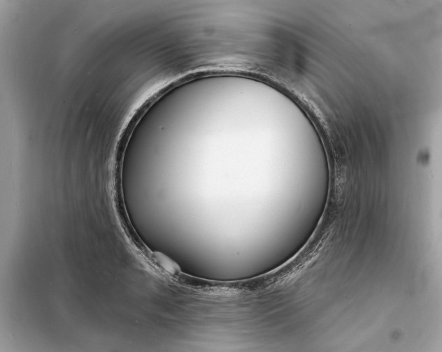 X0000098171085200805080955