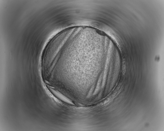 X0000098171088200805080955