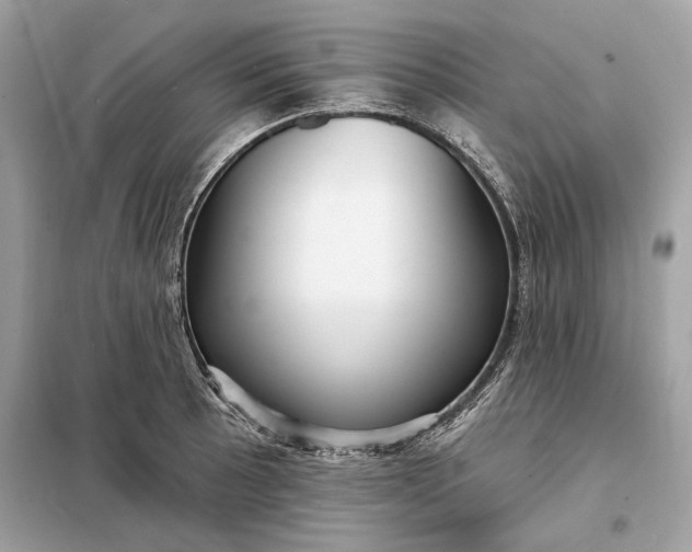 X0000098171089200805080955