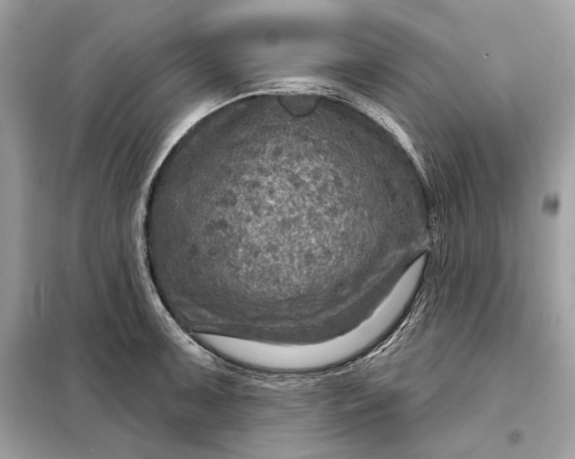 X0000098171091200805080955