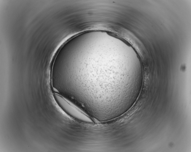 X0000098171092200805080955