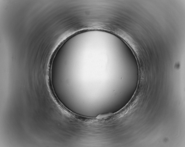 X0000098171093200805080955