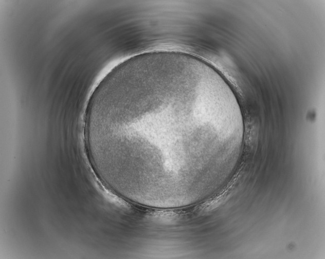 X0000098171094200805080955