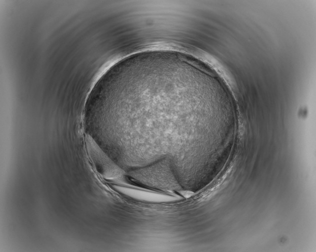 X0000098171097200805080955