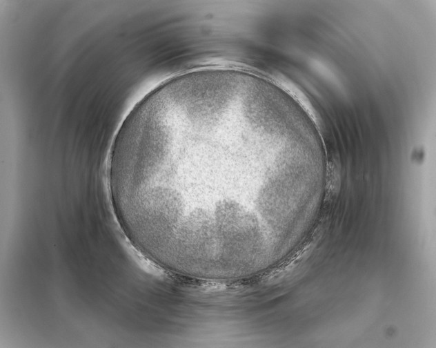 X0000098171098200805080955