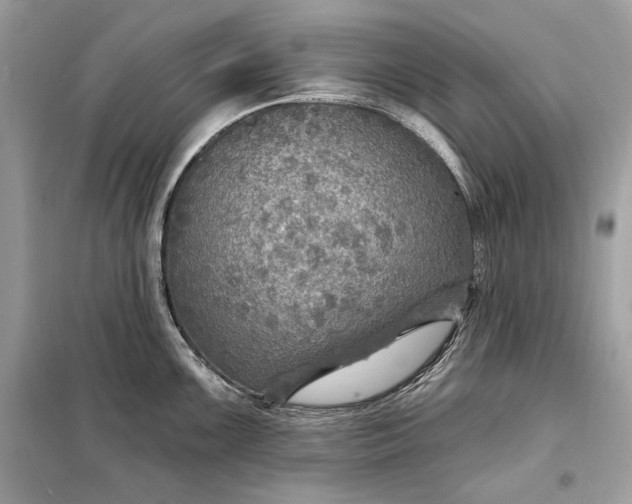 X0000098171099200805080955