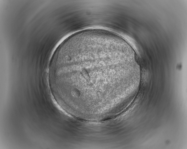 X0000098171100200805080955