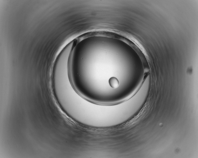 X0000098171101200805080955