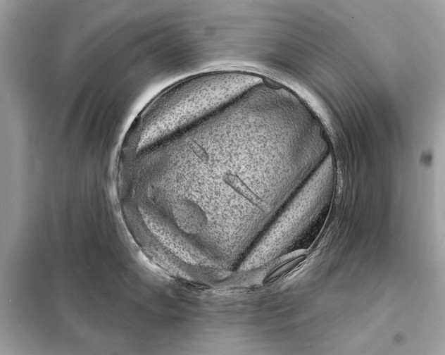 X0000098171102200805080955