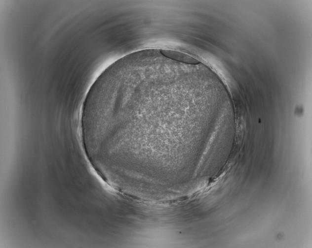 X0000098171103200805080955