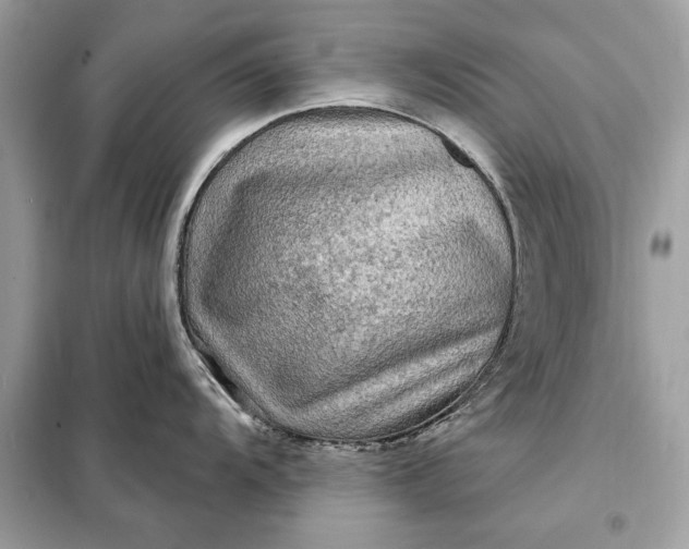 X0000098171104200805080955