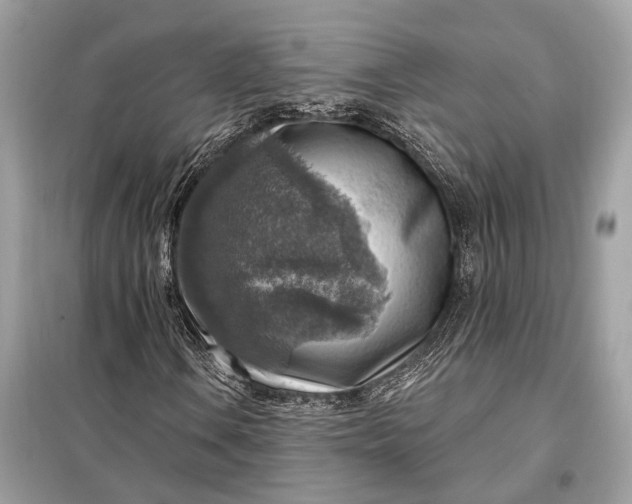 X0000098171106200805080954