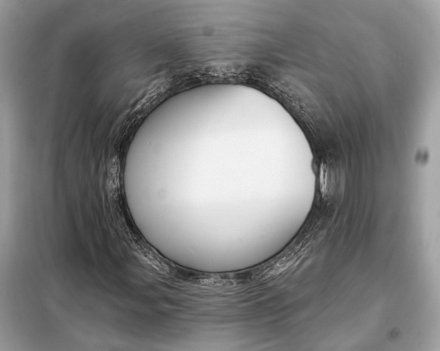 X0000098171107200805080954