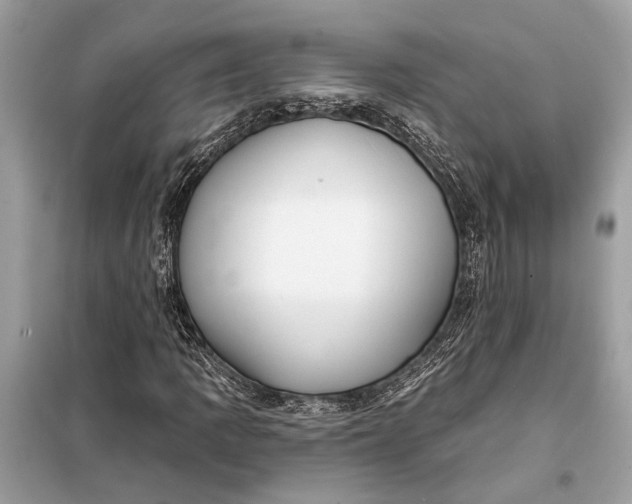 X0000098171109200805080954