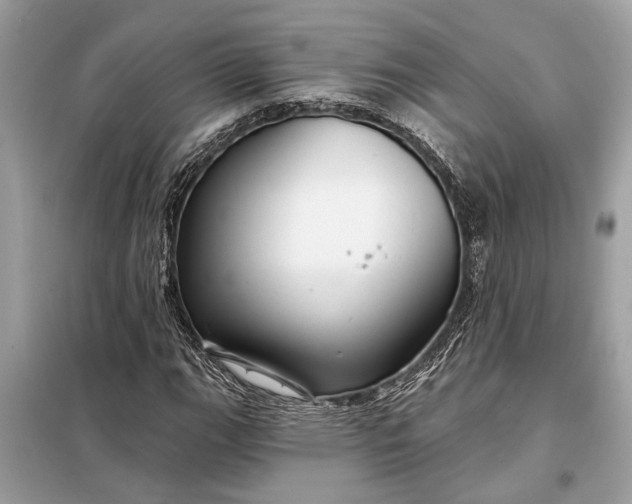 X0000098171111200805080954