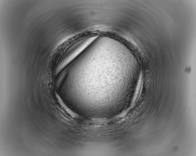 X0000098171112200805080954