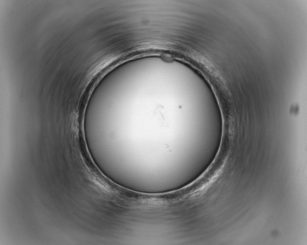 X0000098171113200805080954