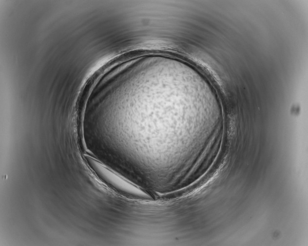 X0000098171114200805080954