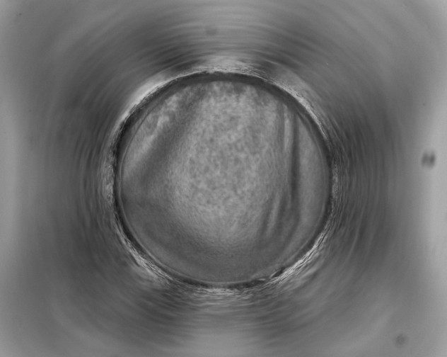 X0000098171115200805080954