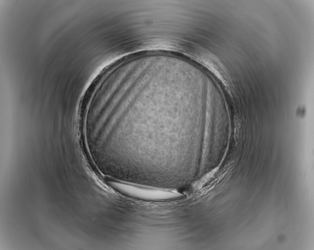 X0000098171116200805080954