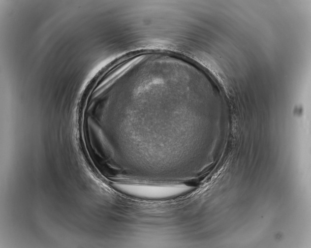 X0000098171120200805080954