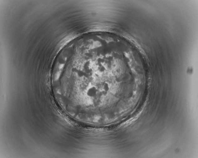 X0000098171121200805080955