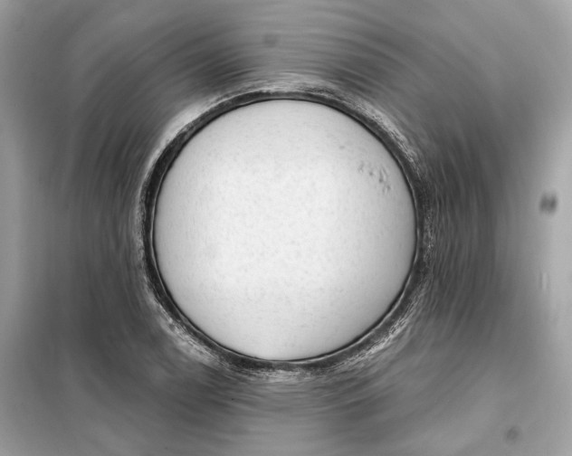 X0000098171122200805080955