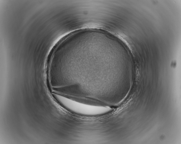 X0000098171124200805080955