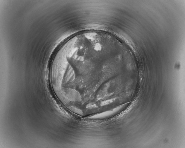 X0000098171125200805080955