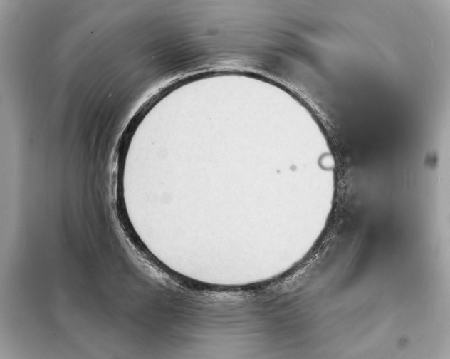 X0000098171126200805080955