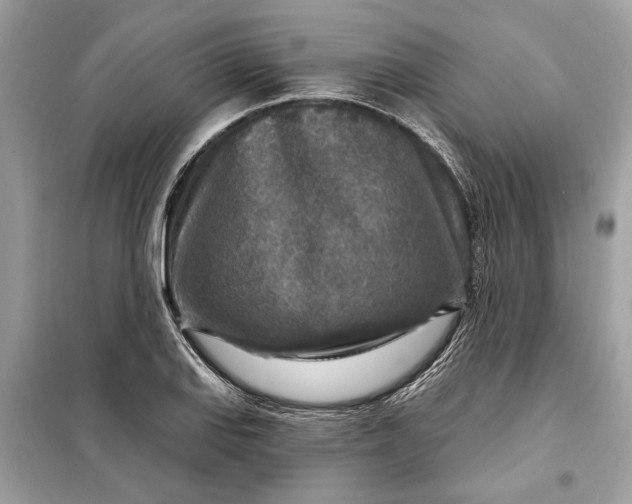 X0000098171127200805080955