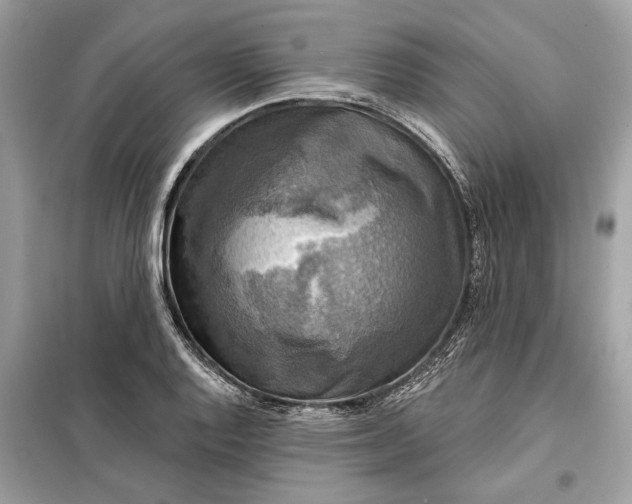 X0000098171128200805080955