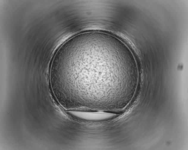 X0000098171129200805080955