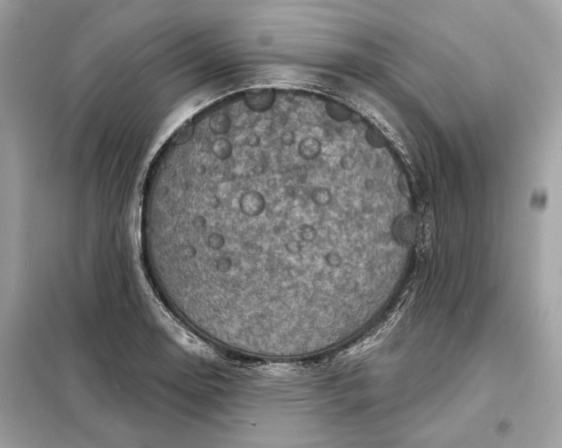 X0000098171130200805080955