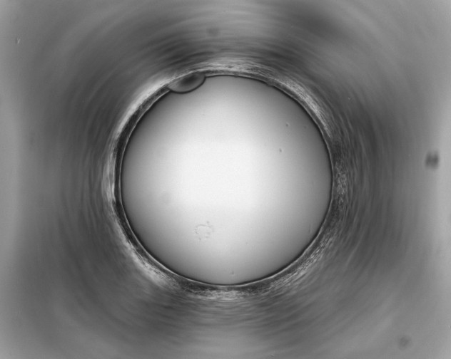 X0000098171131200805080955