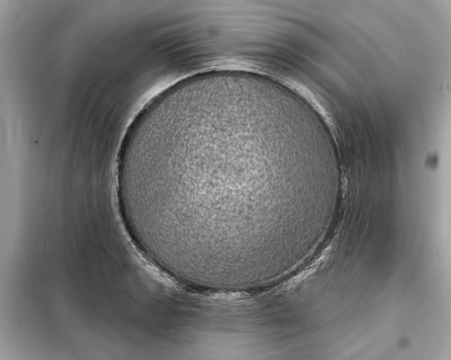 X0000098171133200805080955