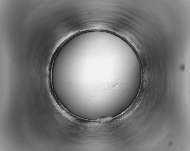 X0000098171134200805080955