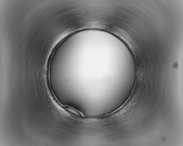 X0000098171135200805080955