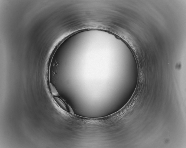 X0000098171136200805080955