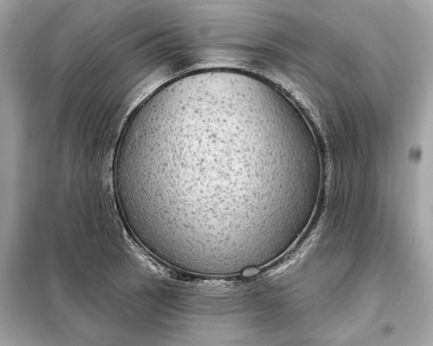 X0000098171137200805080955