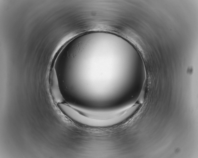 X0000098171138200805080955