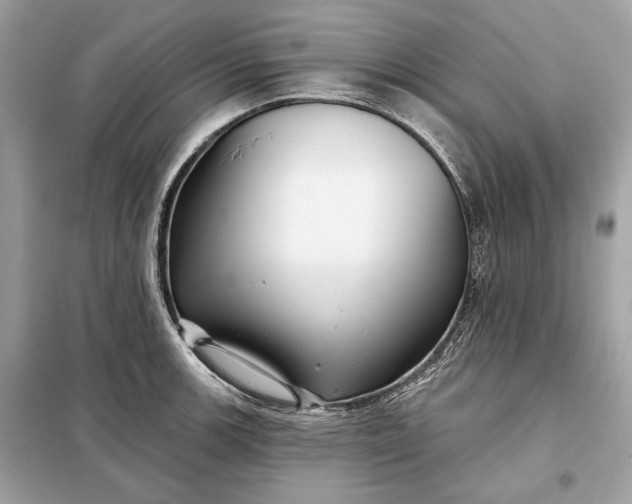 X0000098171139200805080955