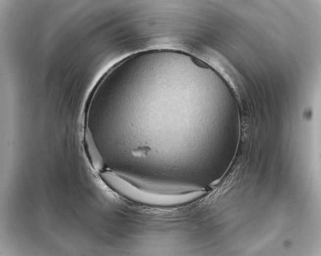 X0000098171140200805080955