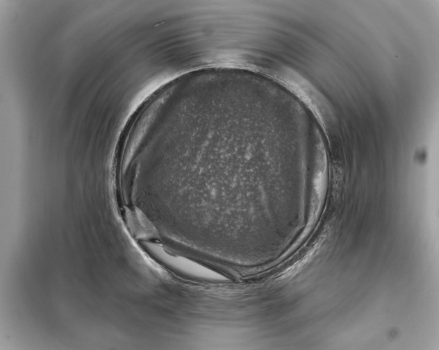 X0000098171141200805080955